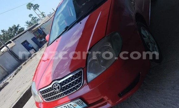 Nunua Ilio tumika Toyota Runx Nyekundu Gari ndani ya Beira nchini Sofala Nunua Ilio tumika Toyota Runx Nyekundu Gari ndani ya Beira nchini Sofala