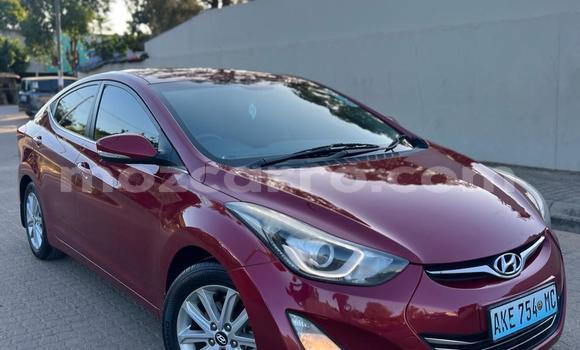 Tenga Tsaru Hyundai Elantra Tsvuku Mota in Maputo in Maputo