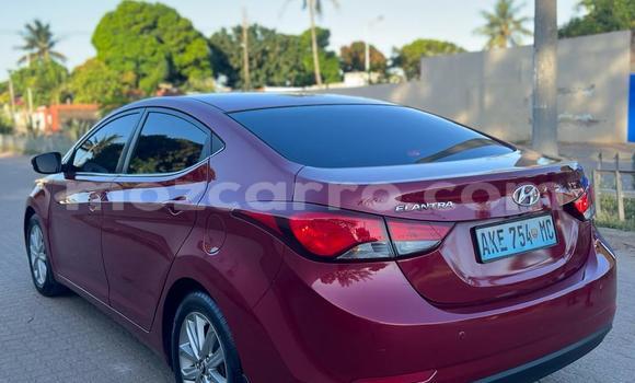 Buy Used Hyundai Elantra Red Car in Maputo in Maputo Buy Used Hyundai Elantra Red Car in Maputo in Maputo