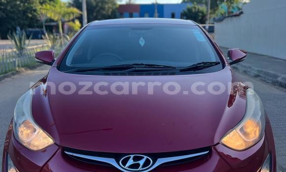 Buy Used Hyundai Elantra Red Car in Maputo in Maputo Buy Used Hyundai Elantra Red Car in Maputo in Maputo