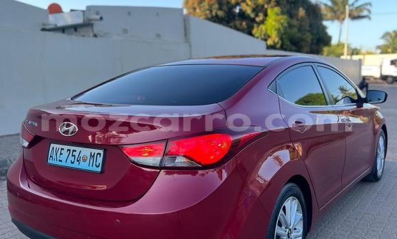 Buy Used Hyundai Elantra Red Car in Maputo in Maputo Buy Used Hyundai Elantra Red Car in Maputo in Maputo