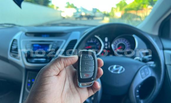Buy Used Hyundai Elantra Red Car in Maputo in Maputo Buy Used Hyundai Elantra Red Car in Maputo in Maputo