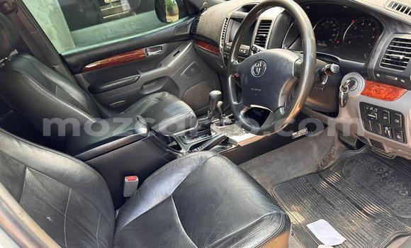 Tenga Tsaru Nissan Dualis Nhema Mota in Maputo in Maputo Tenga Tsaru Nissan Dualis Nhema Mota in Maputo in Maputo