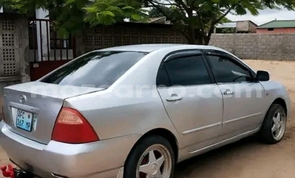 Nunua Ilio tumika Toyota Corolla Nyingine Gari ndani ya Maputo nchini Maputo Nunua Ilio tumika Toyota Corolla Nyingine Gari ndani ya Maputo nchini Maputo