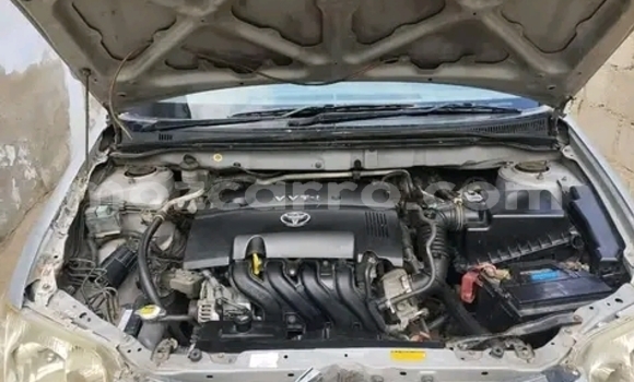Nunua Ilio tumika Toyota Corolla Nyingine Gari ndani ya Maputo nchini Maputo Nunua Ilio tumika Toyota Corolla Nyingine Gari ndani ya Maputo nchini Maputo