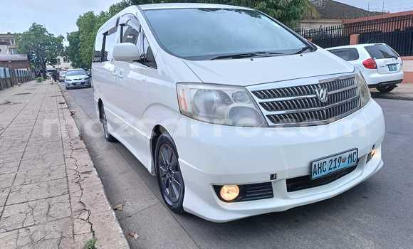 Comprar Usado Toyota Alphard Branco Carro em Maputo em Maputo Comprar Usado Toyota Alphard Branco Carro em Maputo em Maputo