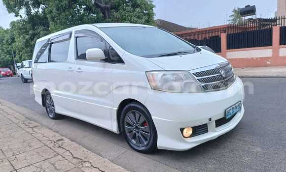 Comprar Usado Toyota Alphard Branco Carro em Maputo em Maputo Comprar Usado Toyota Alphard Branco Carro em Maputo em Maputo