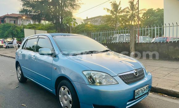 Comprar Usado Toyota Runx Azul Carro em Maputo em Maputo Comprar Usado Toyota Runx Azul Carro em Maputo em Maputo