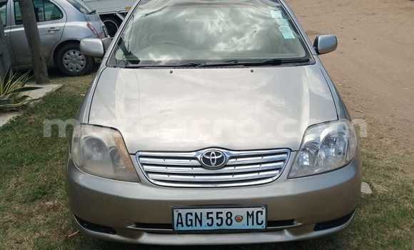 Nunua Ilio tumika Toyota Corolla Brown Gari ndani ya Maputo nchini Maputo Nunua Ilio tumika Toyota Corolla Brown Gari ndani ya Maputo nchini Maputo