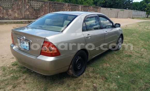 Nunua Ilio tumika Toyota Corolla Brown Gari ndani ya Maputo nchini Maputo Nunua Ilio tumika Toyota Corolla Brown Gari ndani ya Maputo nchini Maputo
