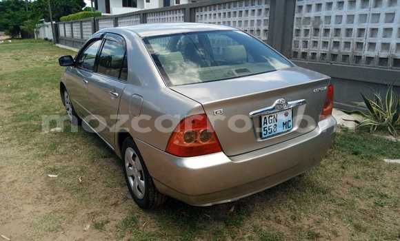Nunua Ilio tumika Toyota Corolla Brown Gari ndani ya Maputo nchini Maputo Nunua Ilio tumika Toyota Corolla Brown Gari ndani ya Maputo nchini Maputo