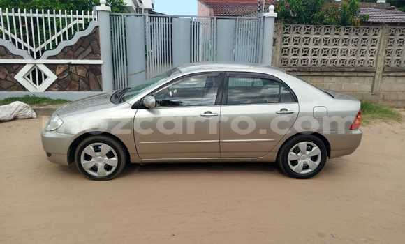 Nunua Ilio tumika Toyota Corolla Brown Gari ndani ya Maputo nchini Maputo Nunua Ilio tumika Toyota Corolla Brown Gari ndani ya Maputo nchini Maputo