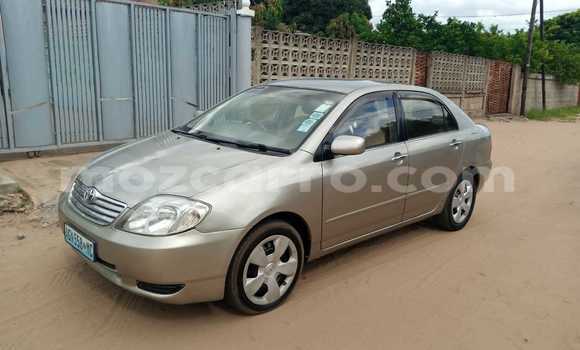 Nunua Ilio tumika Toyota Corolla Brown Gari ndani ya Maputo nchini Maputo Nunua Ilio tumika Toyota Corolla Brown Gari ndani ya Maputo nchini Maputo
