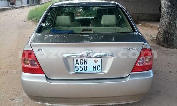 Nunua Ilio tumika Toyota Corolla Brown Gari ndani ya Maputo nchini Maputo Nunua Ilio tumika Toyota Corolla Brown Gari ndani ya Maputo nchini Maputo