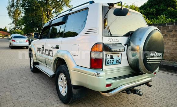 Buy Used Toyota Land Cruiser Prado White Car in Maputo in Maputo Buy Used Toyota Land Cruiser Prado White Car in Maputo in Maputo