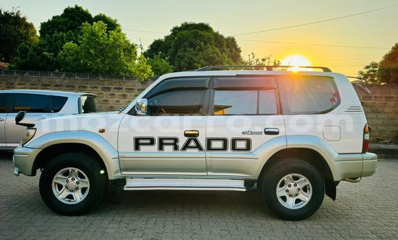 Buy Used Toyota Land Cruiser Prado White Car in Maputo in Maputo Buy Used Toyota Land Cruiser Prado White Car in Maputo in Maputo