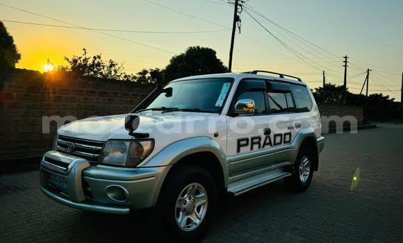Buy Used Toyota Land Cruiser Prado White Car in Maputo in Maputo Buy Used Toyota Land Cruiser Prado White Car in Maputo in Maputo