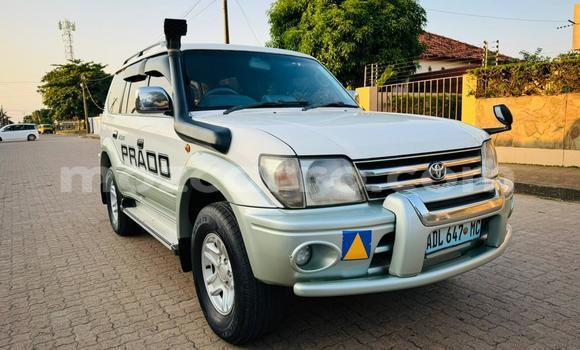 Buy Used Toyota Land Cruiser Prado White Car in Maputo in Maputo Buy Used Toyota Land Cruiser Prado White Car in Maputo in Maputo