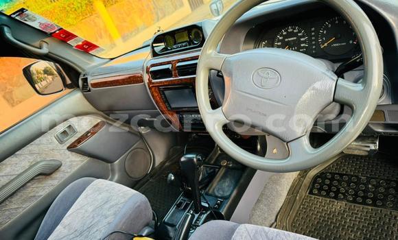 Buy Used Toyota Land Cruiser Prado White Car in Maputo in Maputo Buy Used Toyota Land Cruiser Prado White Car in Maputo in Maputo
