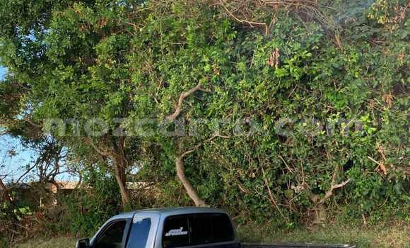 Nunua Ilio tumika Mazda BT-50 Nyingine Gari ndani ya Maputo nchini Maputo Nunua Ilio tumika Mazda BT-50 Nyingine Gari ndani ya Maputo nchini Maputo