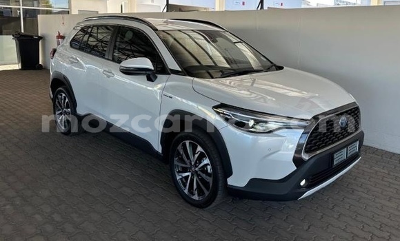 Tenga Tsaru Toyota Corolla Cross Chena Mota in Maputo in Maputo Tenga Tsaru Toyota Corolla Cross Chena Mota in Maputo in Maputo