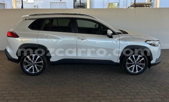 Tenga Tsaru Toyota Corolla Cross Chena Mota in Maputo in Maputo Tenga Tsaru Toyota Corolla Cross Chena Mota in Maputo in Maputo