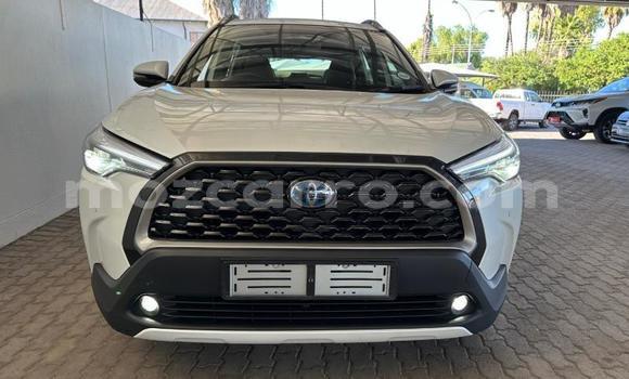 Tenga Tsaru Toyota Corolla Cross Chena Mota in Maputo in Maputo Tenga Tsaru Toyota Corolla Cross Chena Mota in Maputo in Maputo