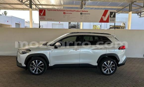 Tenga Tsaru Toyota Corolla Cross Chena Mota in Maputo in Maputo Tenga Tsaru Toyota Corolla Cross Chena Mota in Maputo in Maputo