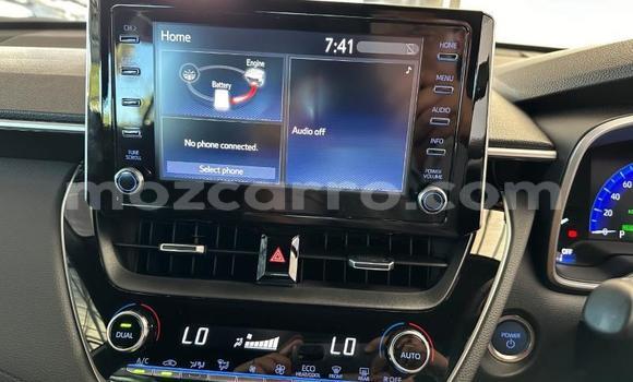 Tenga Tsaru Toyota Corolla Cross Chena Mota in Maputo in Maputo Tenga Tsaru Toyota Corolla Cross Chena Mota in Maputo in Maputo