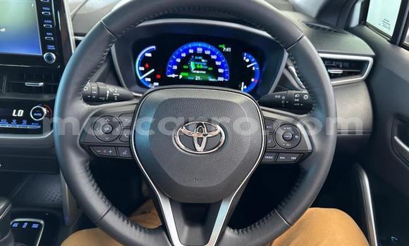 Tenga Tsaru Toyota Corolla Cross Chena Mota in Maputo in Maputo Tenga Tsaru Toyota Corolla Cross Chena Mota in Maputo in Maputo