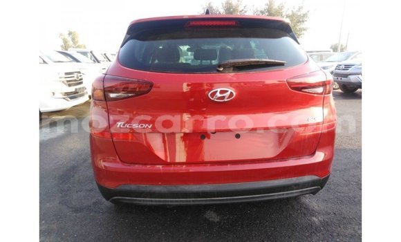 Comprar Importar Hyundai Tucson Vermelho Carro em Import - Dubai em Cabo Delgado Comprar Importar Hyundai Tucson Vermelho Carro em Import - Dubai em Cabo Delgado