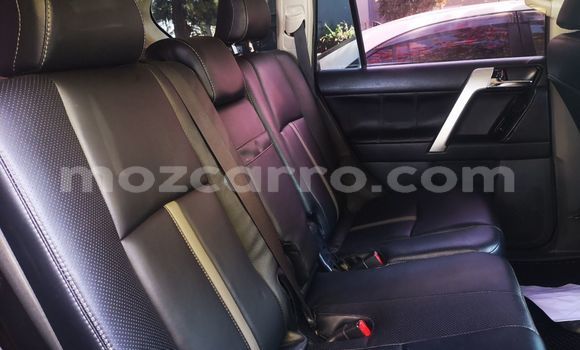 Buy New Toyota Prado Silver Car in Maputo in Maputo Buy New Toyota Prado Silver Car in Maputo in Maputo