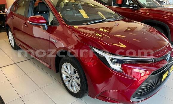 Tenga Tsaru Toyota Corolla Tsvuku Mota in Maputo in Maputo Tenga Tsaru Toyota Corolla Tsvuku Mota in Maputo in Maputo