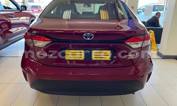 Tenga Tsaru Toyota Corolla Tsvuku Mota in Maputo in Maputo Tenga Tsaru Toyota Corolla Tsvuku Mota in Maputo in Maputo