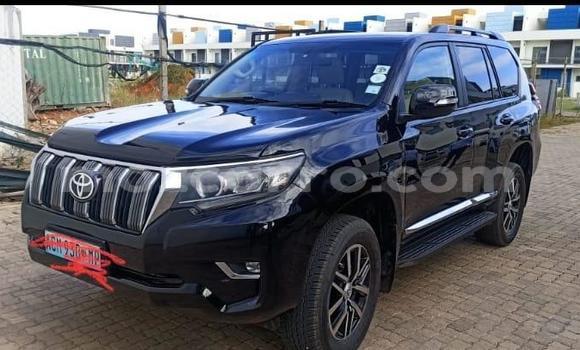 Tenga Tsaru Toyota Prado Bhuruu Mota in Maputo in Maputo