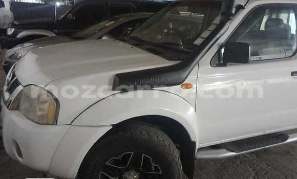 Comprar Usado Nissan Hardbody Branco Carro em Maputo em Maputo Comprar Usado Nissan Hardbody Branco Carro em Maputo em Maputo