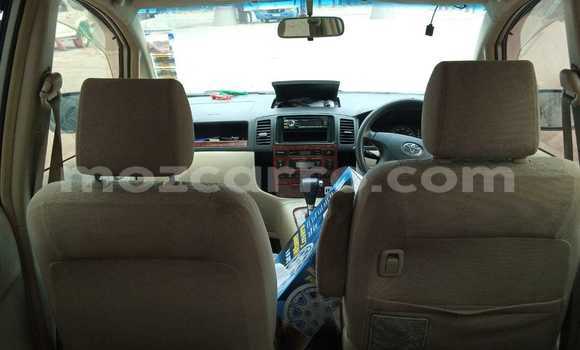 Buy Used Toyota Spacio Brown Car in Maputo in Maputo Buy Used Toyota Spacio Brown Car in Maputo in Maputo