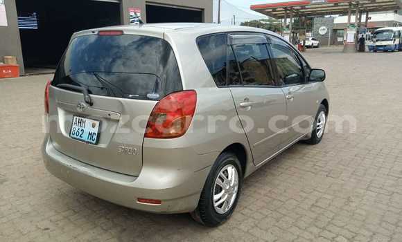 Buy Used Toyota Spacio Brown Car in Maputo in Maputo Buy Used Toyota Spacio Brown Car in Maputo in Maputo