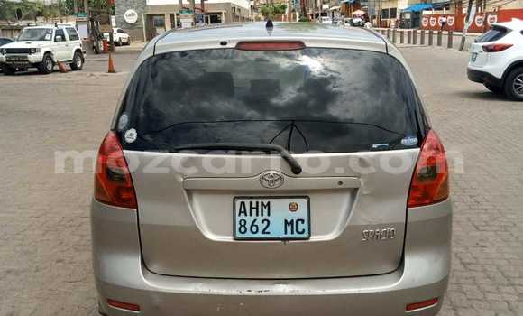Buy Used Toyota Spacio Brown Car in Maputo in Maputo Buy Used Toyota Spacio Brown Car in Maputo in Maputo