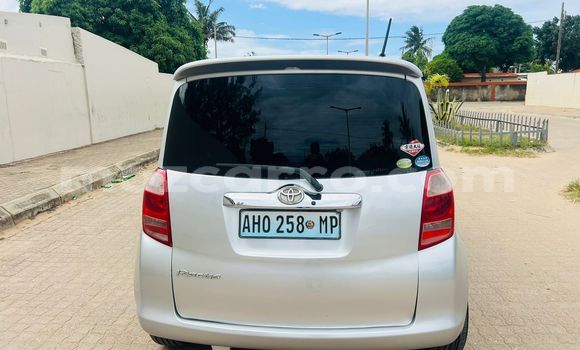 Tenga Tsaru Toyota Ractis Sirivha Mota in Maputo in Maputo