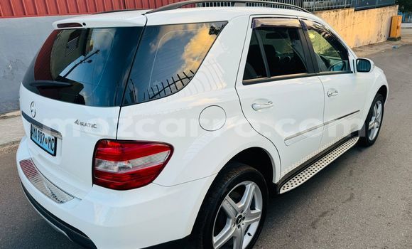 Tenga Tsaru Mercedes Viano Chena Mota in Maputo in Maputo