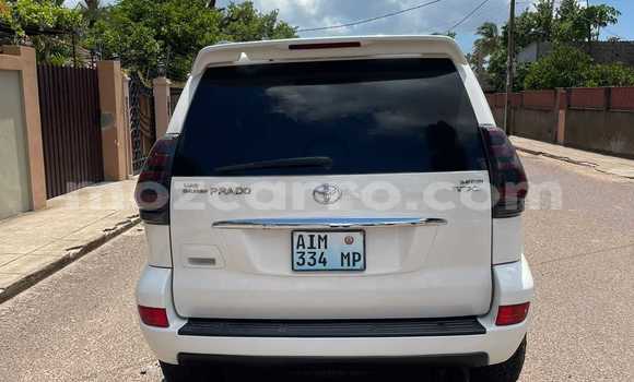 Buy Used Toyota Prado White Car in Búzi in Sofala Buy Used Toyota Prado White Car in Búzi in Sofala