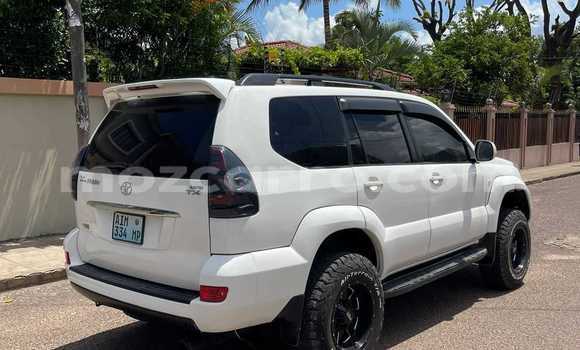 Buy Used Toyota Prado White Car in Búzi in Sofala Buy Used Toyota Prado White Car in Búzi in Sofala