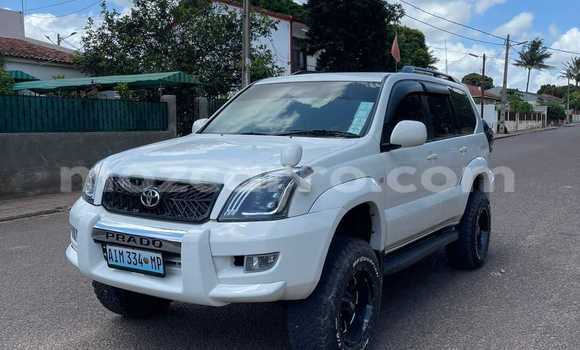 Buy Used Toyota Prado White Car in Búzi in Sofala Buy Used Toyota Prado White Car in Búzi in Sofala