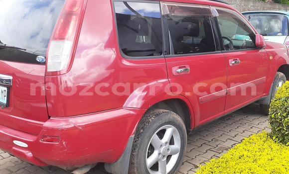 Buy Used Nissan X-Trail Red Car in Maputo in Maputo Buy Used Nissan X-Trail Red Car in Maputo in Maputo