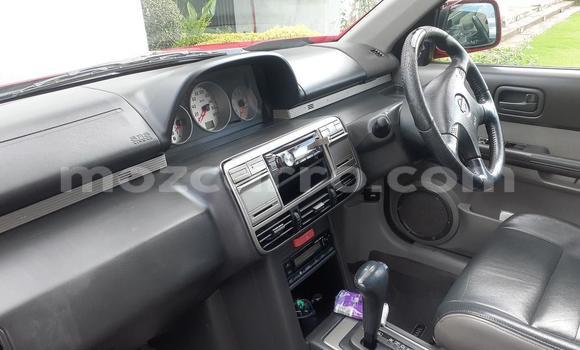 Buy Used Nissan X-Trail Red Car in Maputo in Maputo Buy Used Nissan X-Trail Red Car in Maputo in Maputo