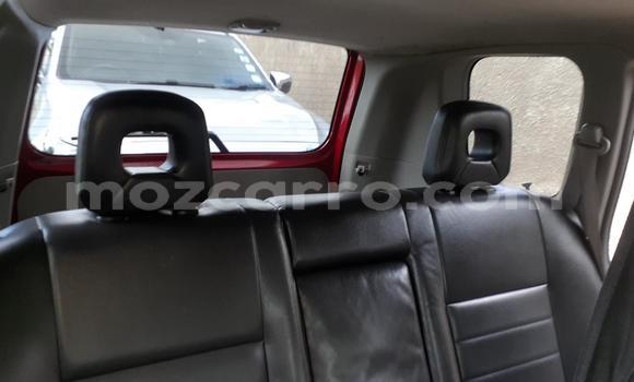 Buy Used Nissan X-Trail Red Car in Maputo in Maputo Buy Used Nissan X-Trail Red Car in Maputo in Maputo