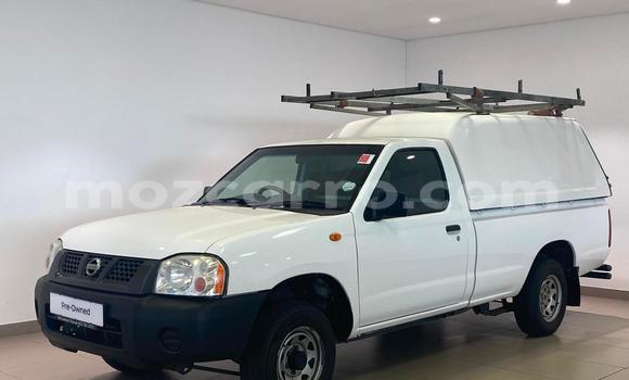 Comprar Usado Nissan NP 300 Branco Carro em Maputo em Maputo
