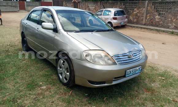 Comprar Usado Toyota Corolla Castanho Carro em Maputo em Maputo Comprar Usado Toyota Corolla Castanho Carro em Maputo em Maputo