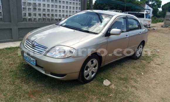 Comprar Usado Toyota Corolla Castanho Carro em Maputo em Maputo Comprar Usado Toyota Corolla Castanho Carro em Maputo em Maputo